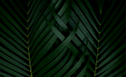 https://trentlakesdevelopments.ca/wp-content/uploads/2020/03/inner_01_02.png